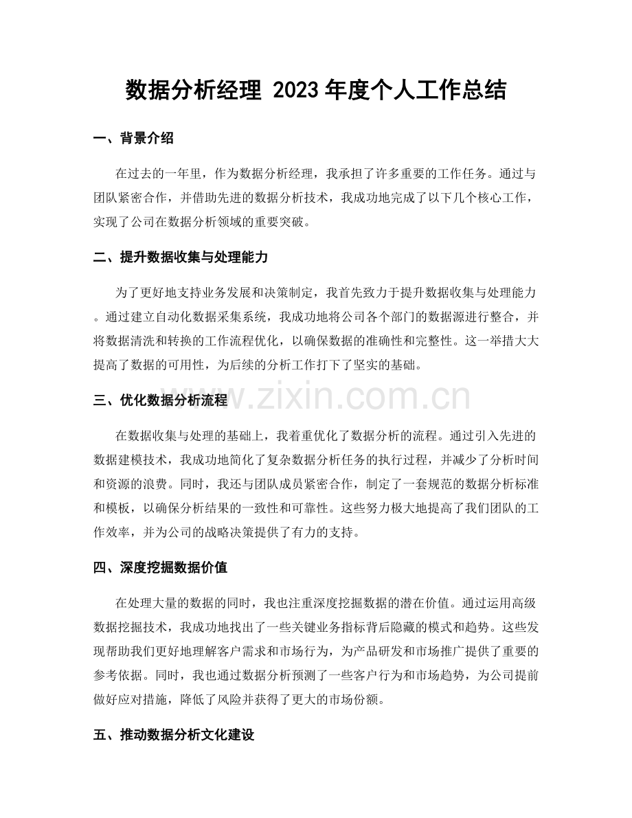 数据分析经理 2023年度个人工作总结.docx_第1页