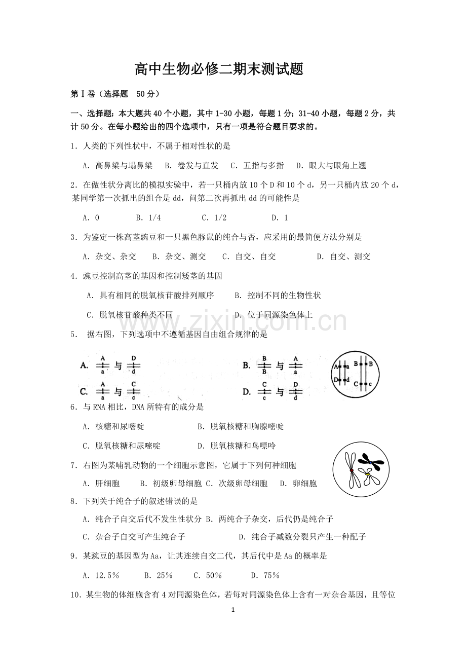 高中生物必修二期末测试题.doc_第1页