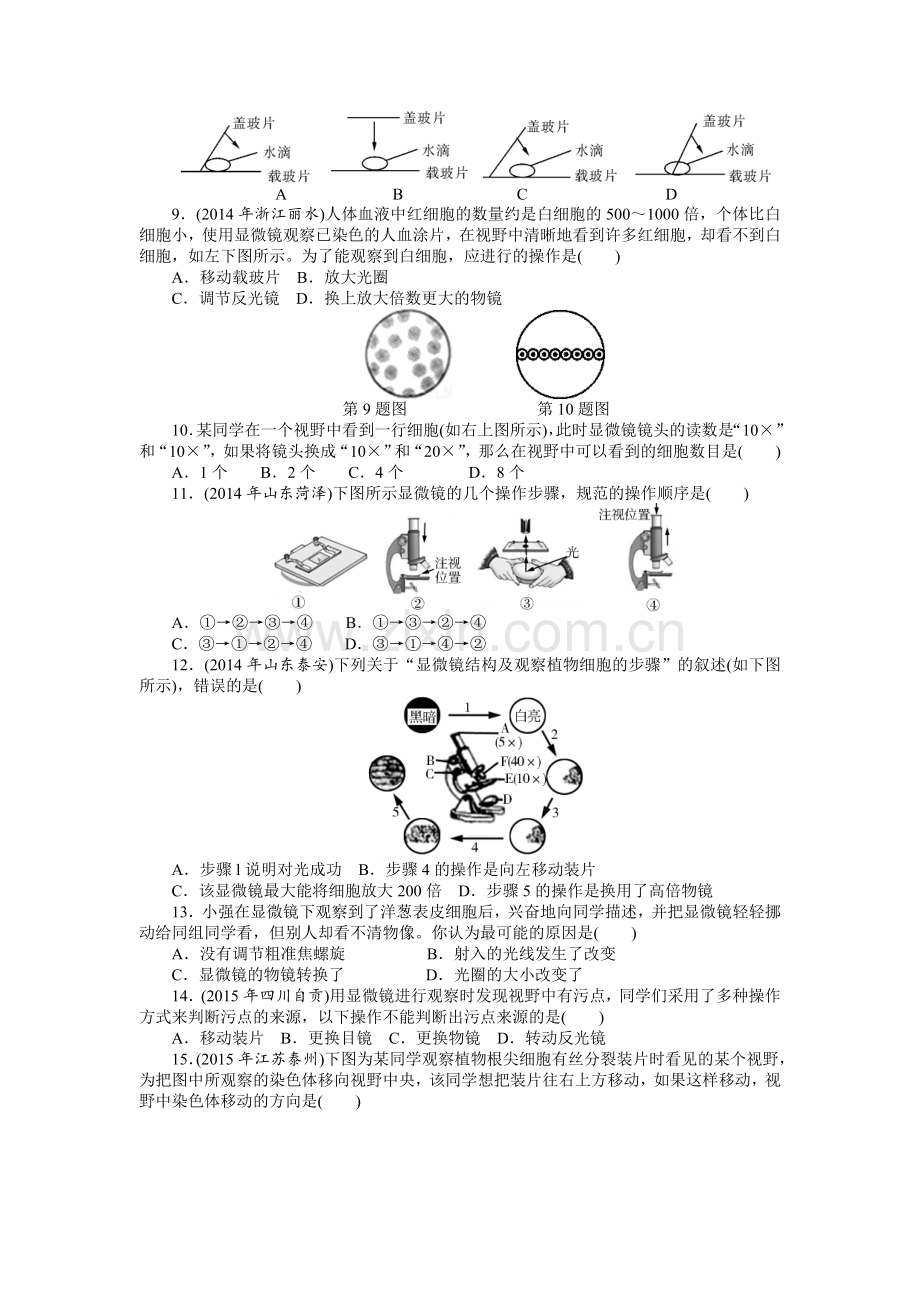 中考复习专题一：生物体的结构层次.doc_第2页