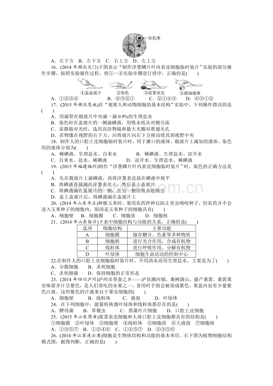 中考复习专题一：生物体的结构层次.doc_第3页