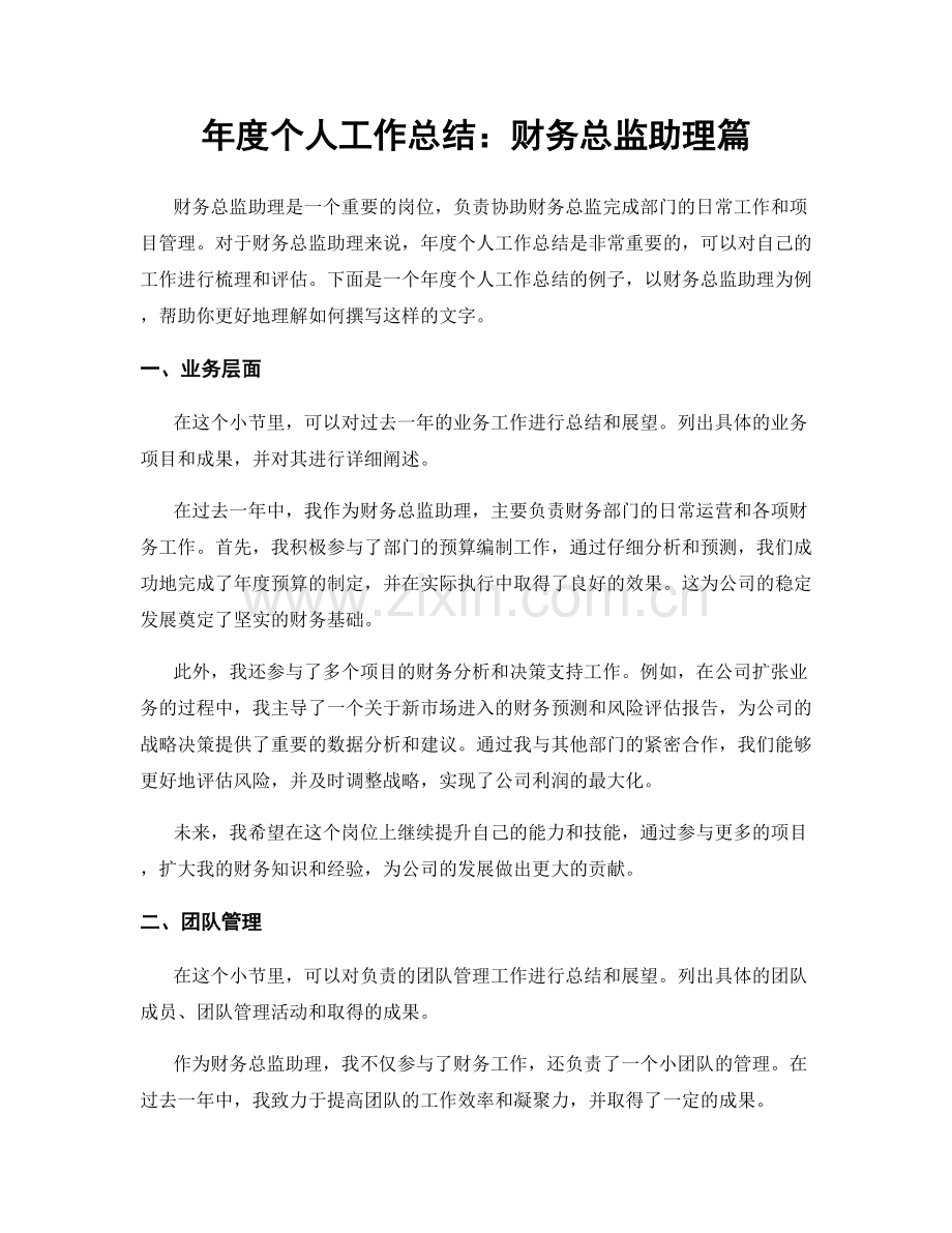 年度个人工作总结：财务总监助理篇.docx_第1页