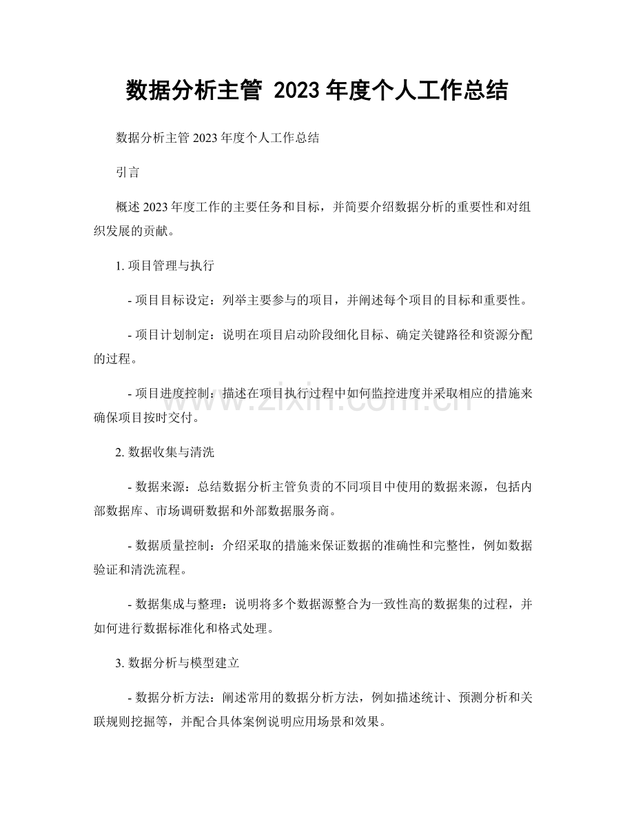 数据分析主管 2023年度个人工作总结.docx_第1页