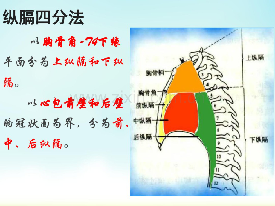 第八节纵隔疾病影像-(2).pdf_第2页