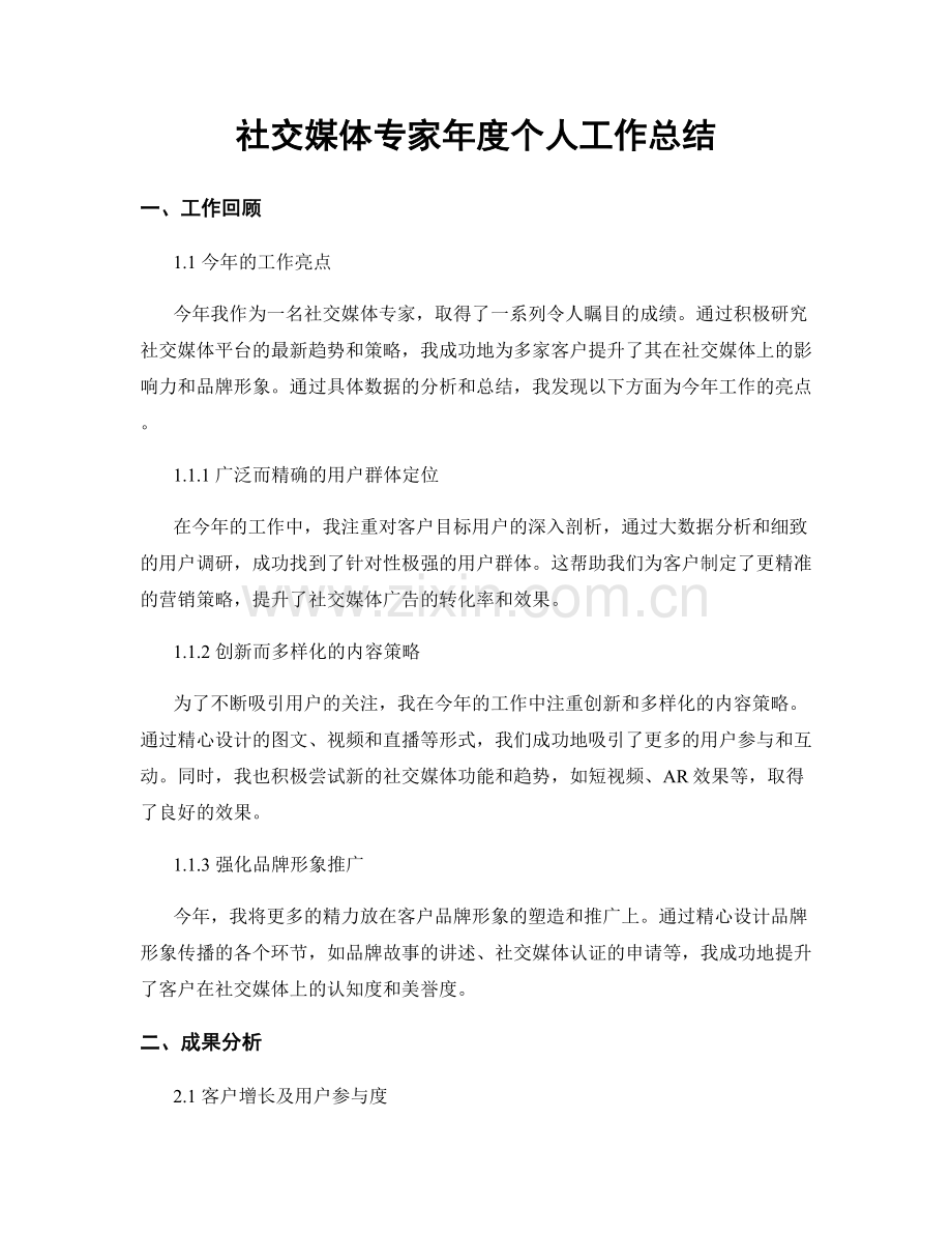 社交媒体专家年度个人工作总结.docx_第1页