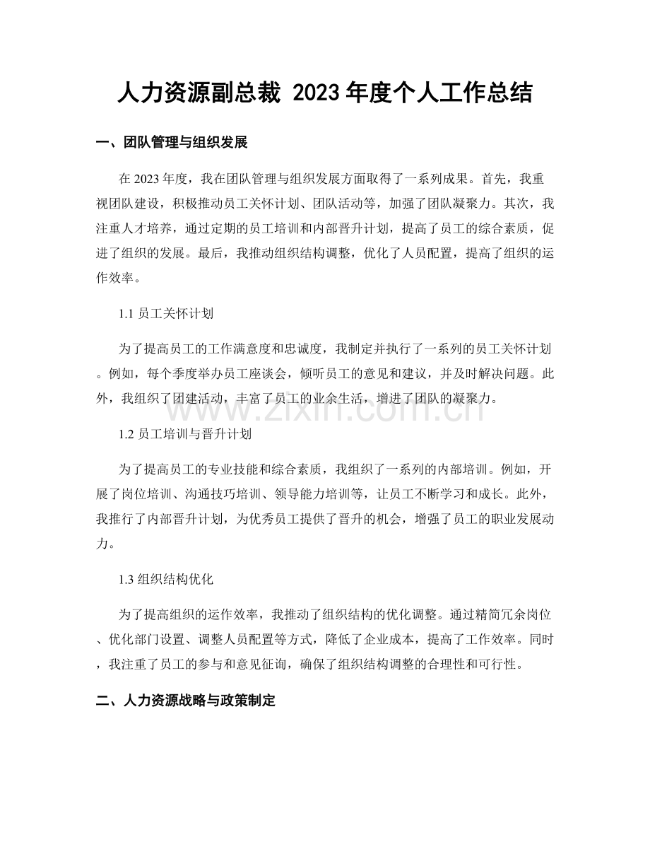 人力资源副总裁 2023年度个人工作总结.docx_第1页