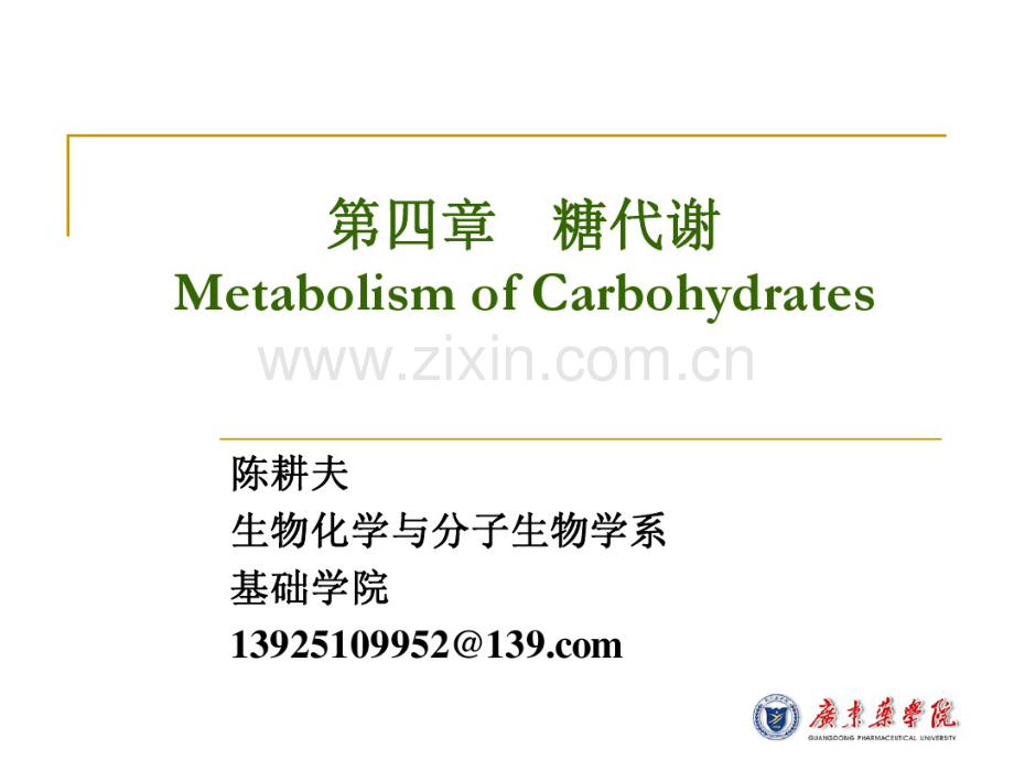 生物化学第04章糖代谢.pdf_第1页