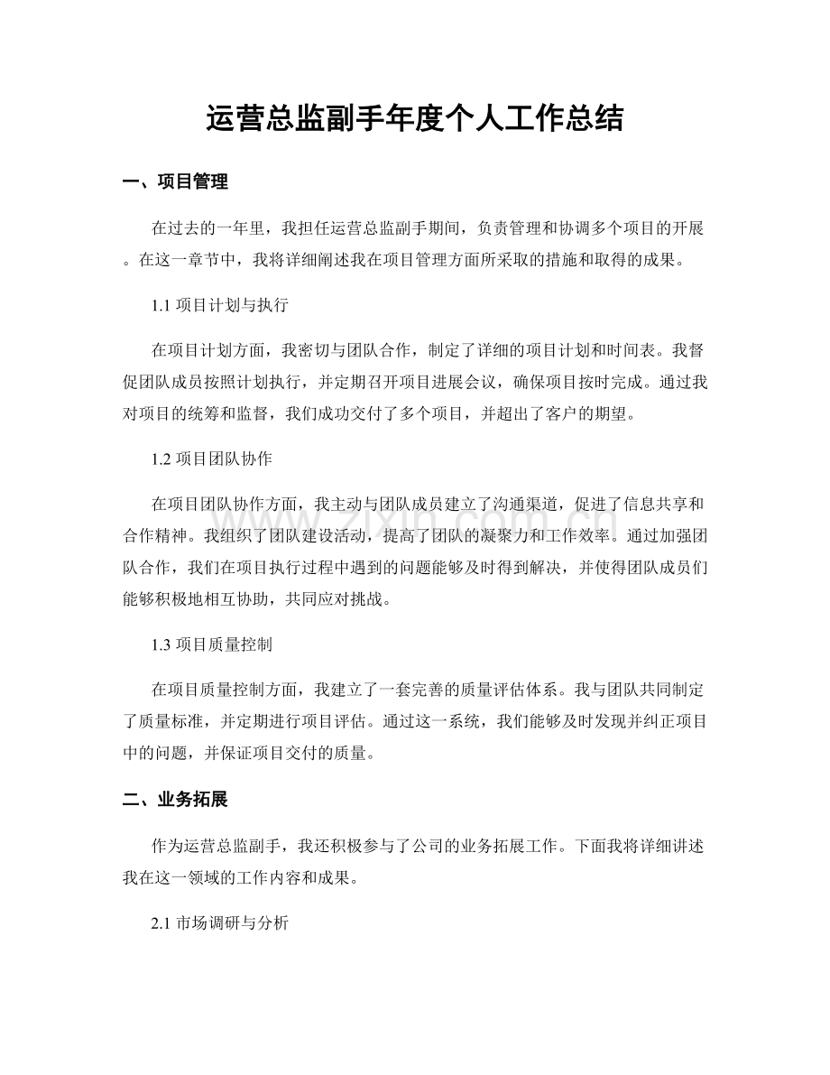 运营总监副手年度个人工作总结.docx_第1页