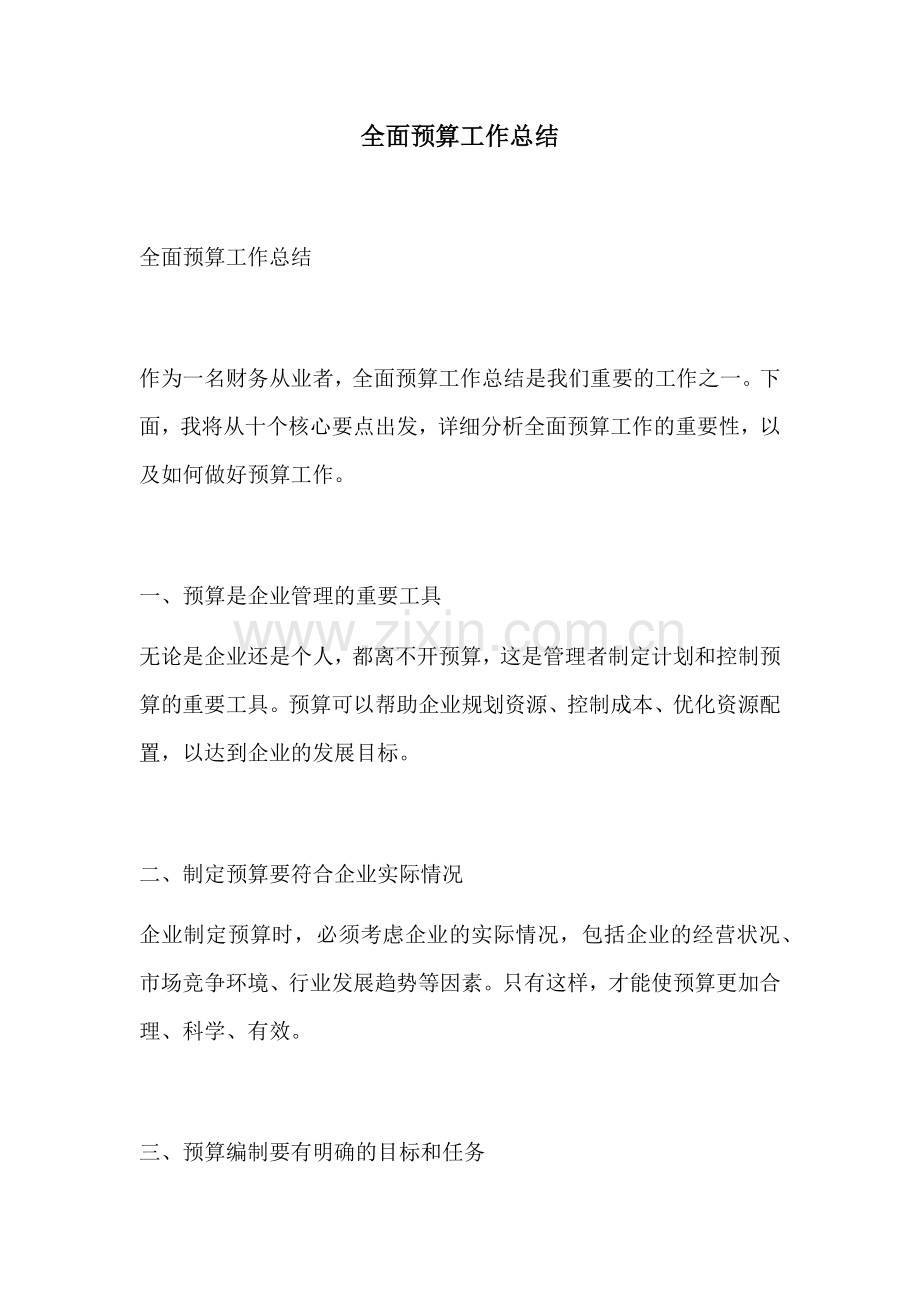 全面预算工作总结.docx_第1页