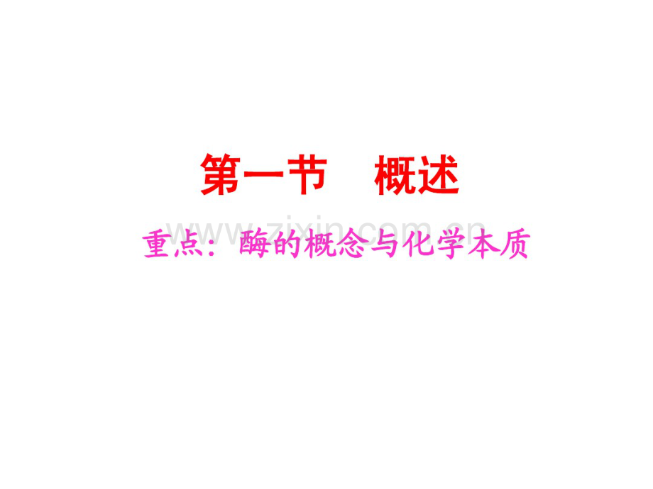 生物化学酶PPT.pdf_第3页