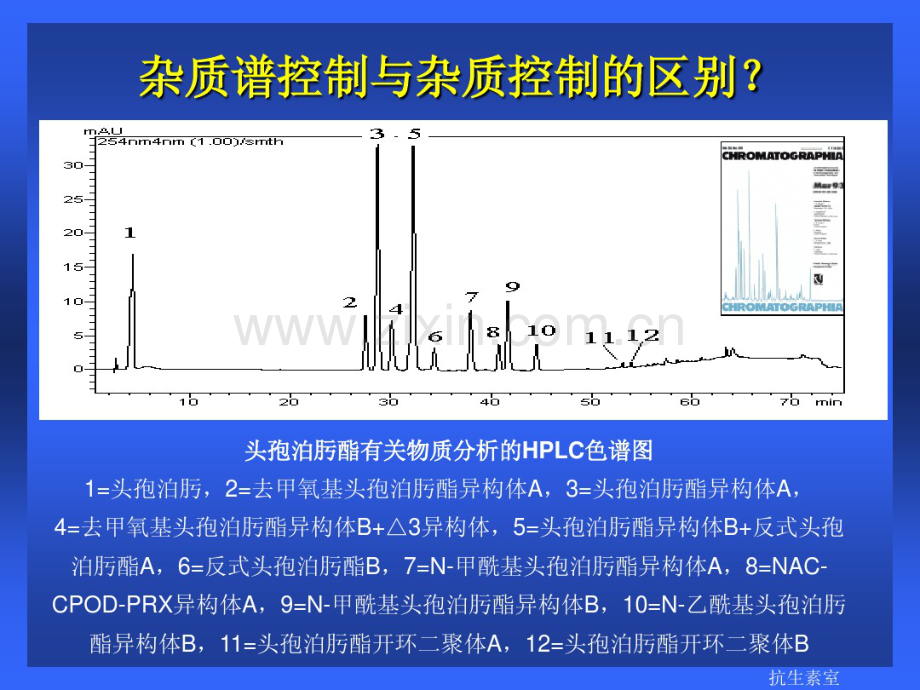 原料药中杂质的控制与案例分析-(2).pdf_第3页