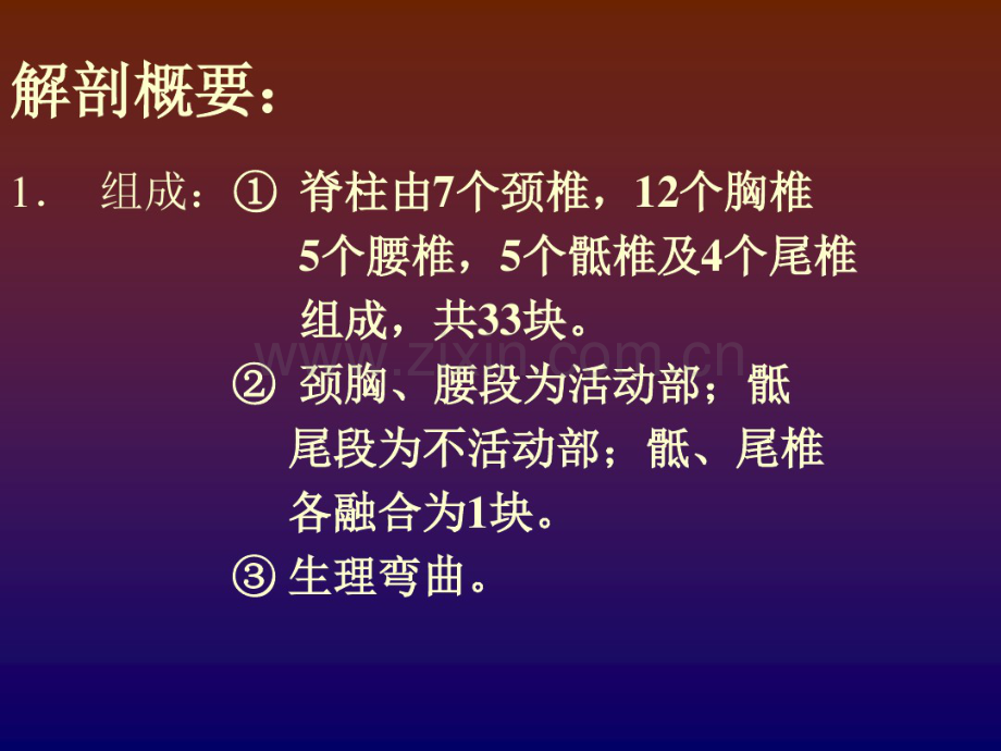 脊柱骨折.pdf_第3页