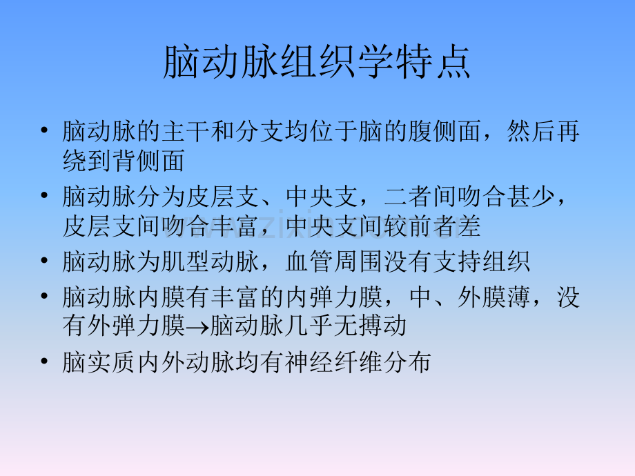 脑血管解剖PPT.ppt_第2页