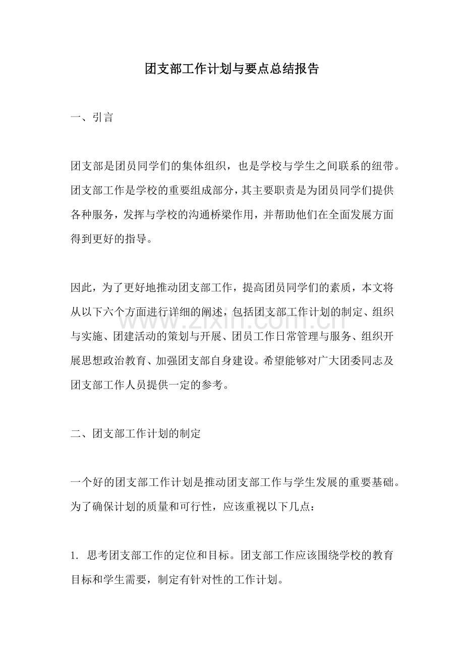 团支部工作计划与要点总结报告.docx_第1页