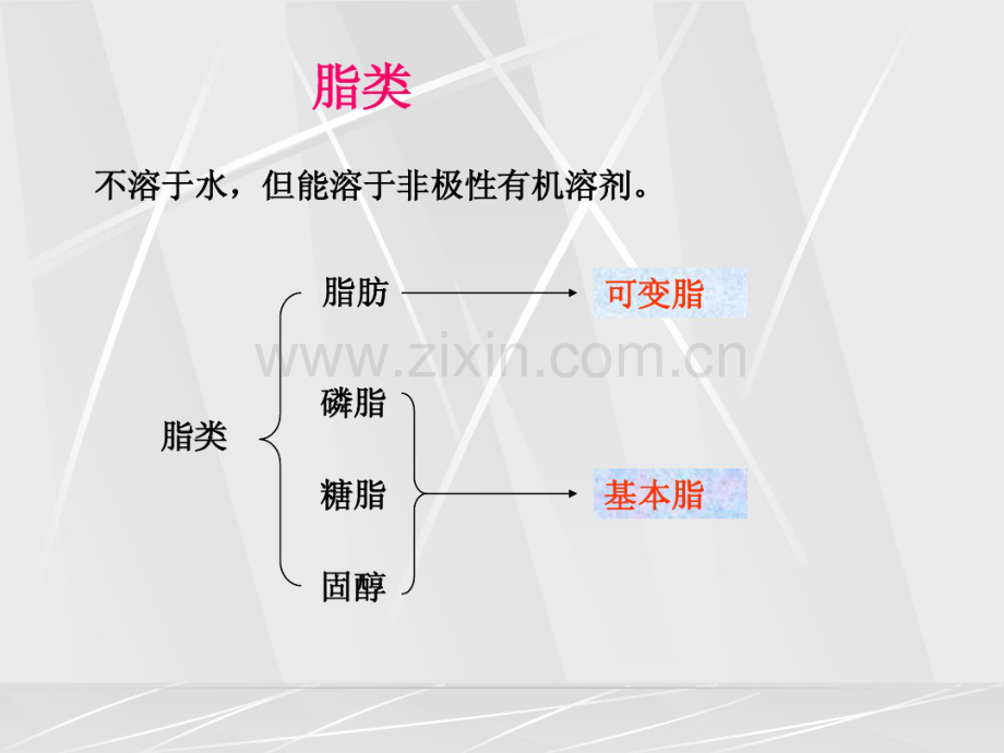 生物化学第10章脂类代谢.pdf_第2页