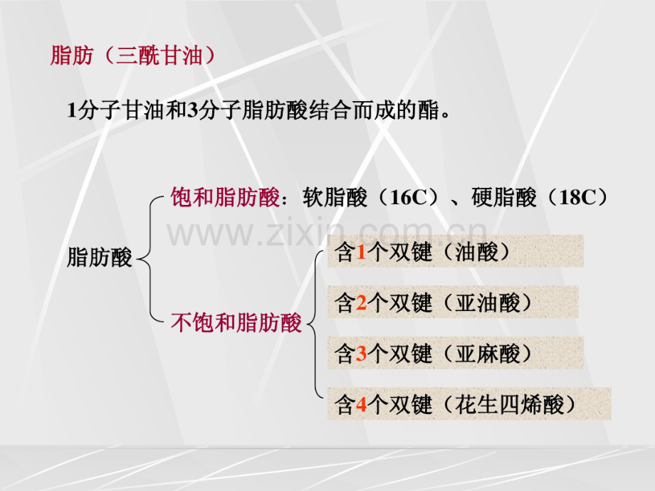 生物化学第10章脂类代谢.pdf_第3页