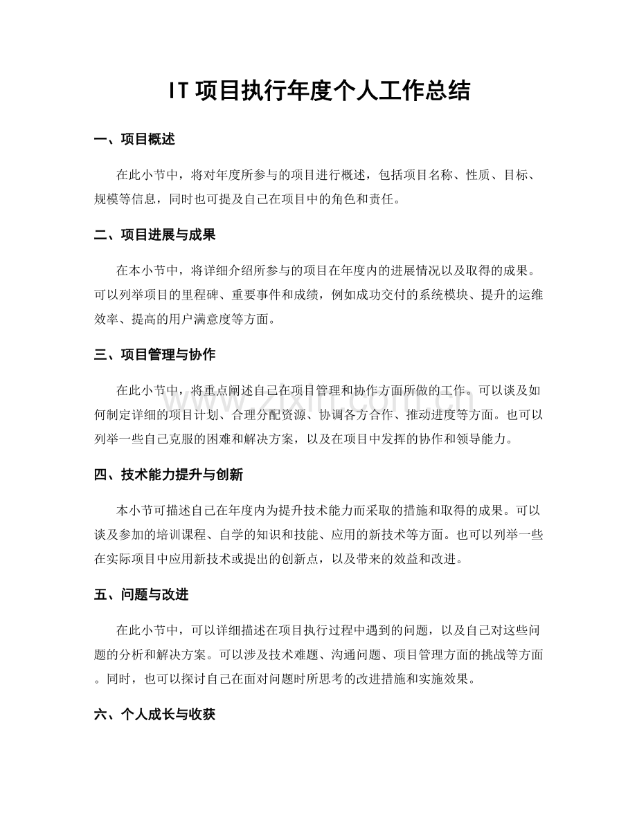 IT项目执行年度个人工作总结.docx_第1页