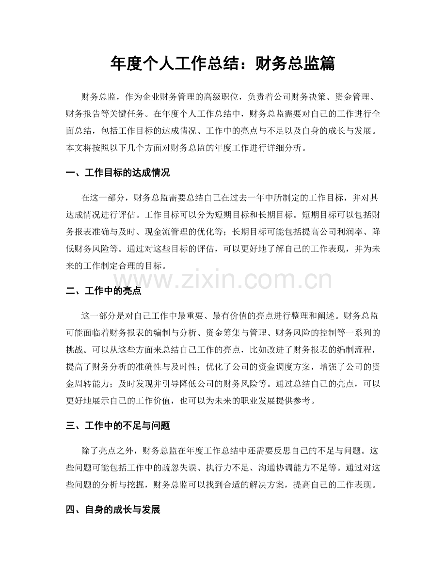 年度个人工作总结：财务总监篇.docx_第1页