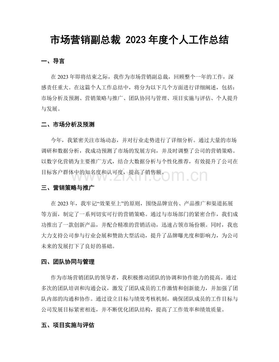 市场营销副总裁 2023年度个人工作总结.docx_第1页