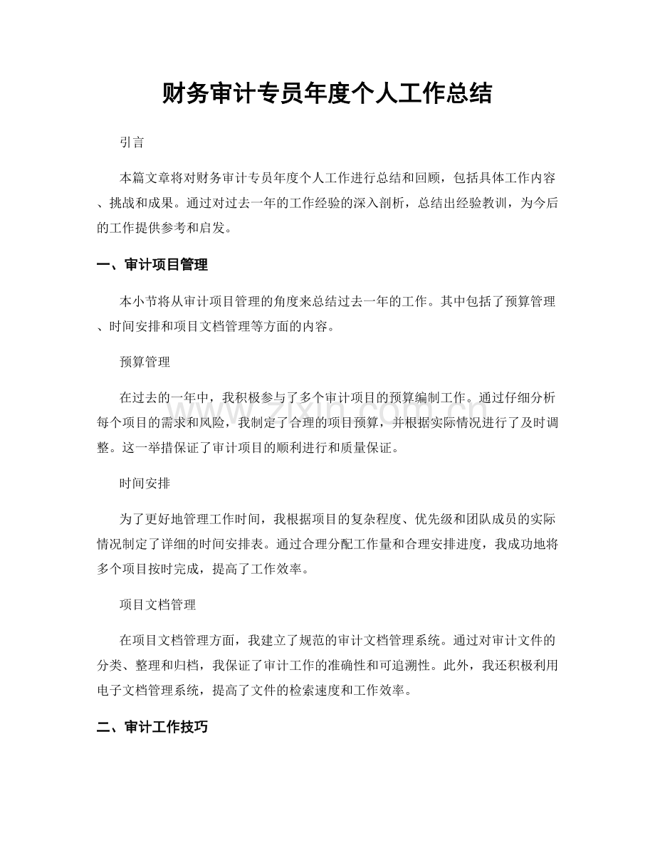 财务审计专员年度个人工作总结.docx_第1页