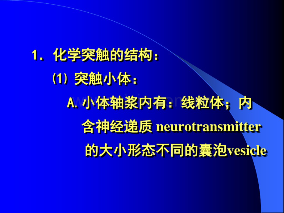 中国医科大学生理学102讲座.pdf_第3页