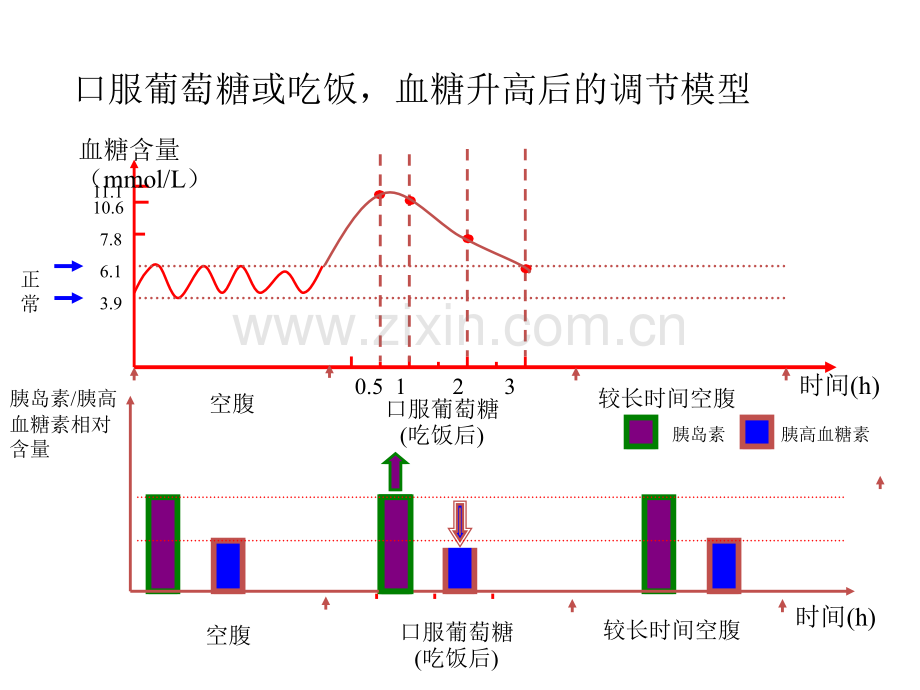 儿童糖尿病培训.ppt_第3页