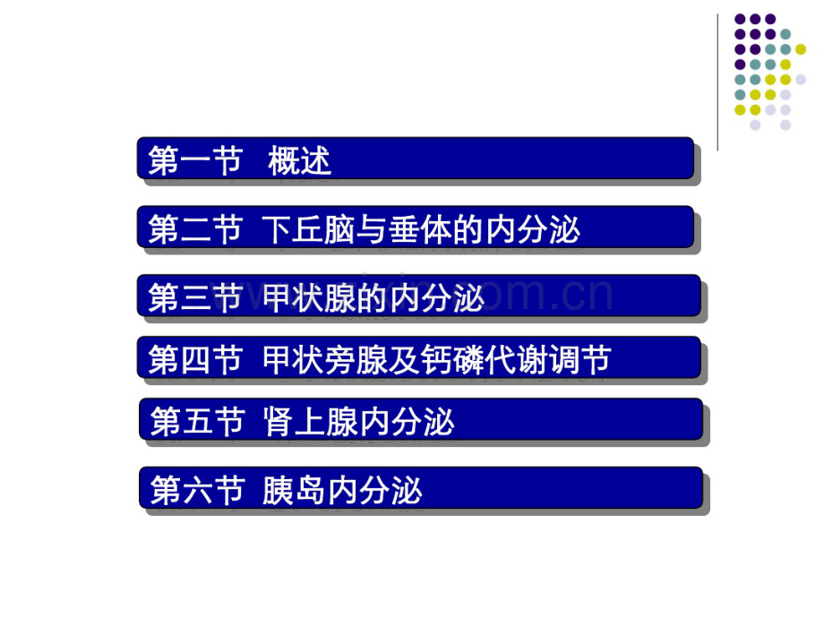 内分泌系统(20190901100503).pdf_第2页