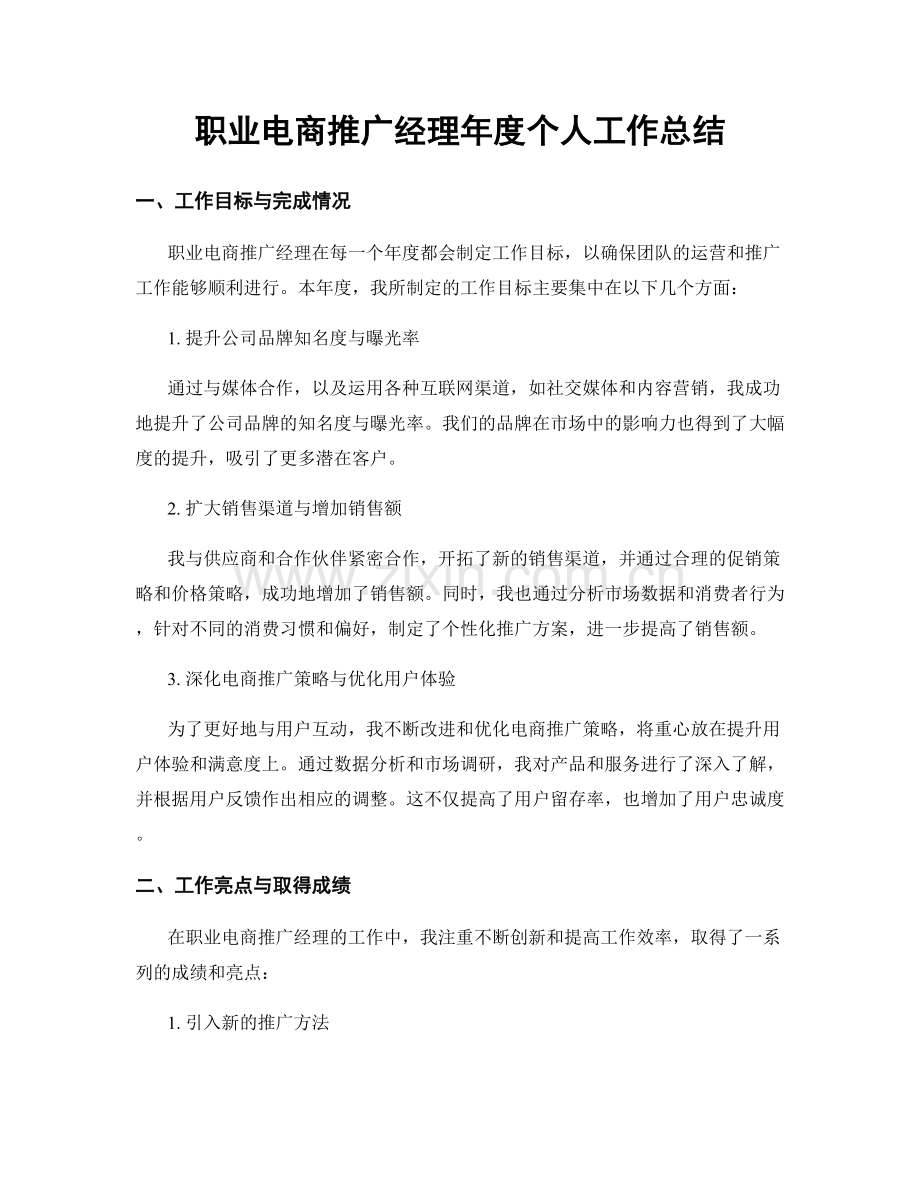 职业电商推广经理年度个人工作总结.docx_第1页