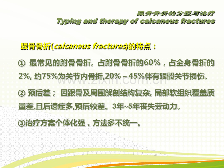 跟骨骨折的分型与治疗讲座.pdf_第2页