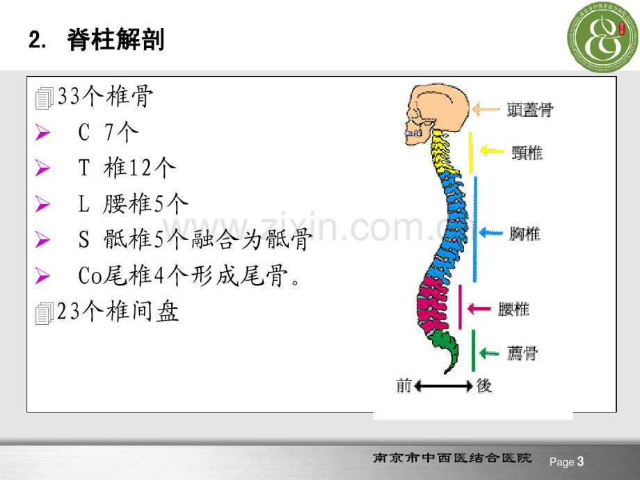 脊柱脊髓损伤.pdf_第3页