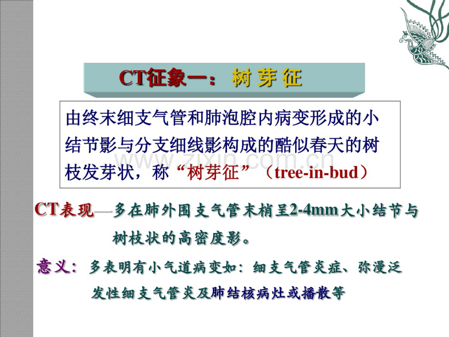 肺疾病的CT征象分析象.pdf_第3页