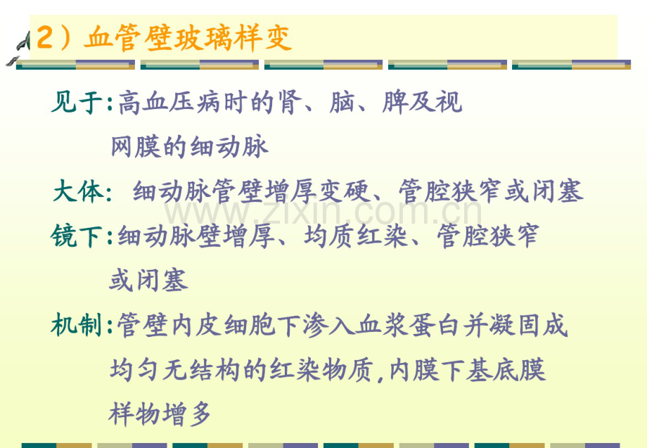 中国医科大学病理学课件-第二章细胞和组织的适应与损伤2.pdf_第1页