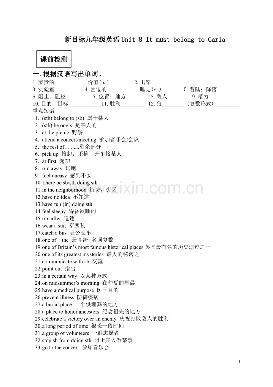 人教版九年级英语Unit8知识点精讲及练习题.doc_第1页