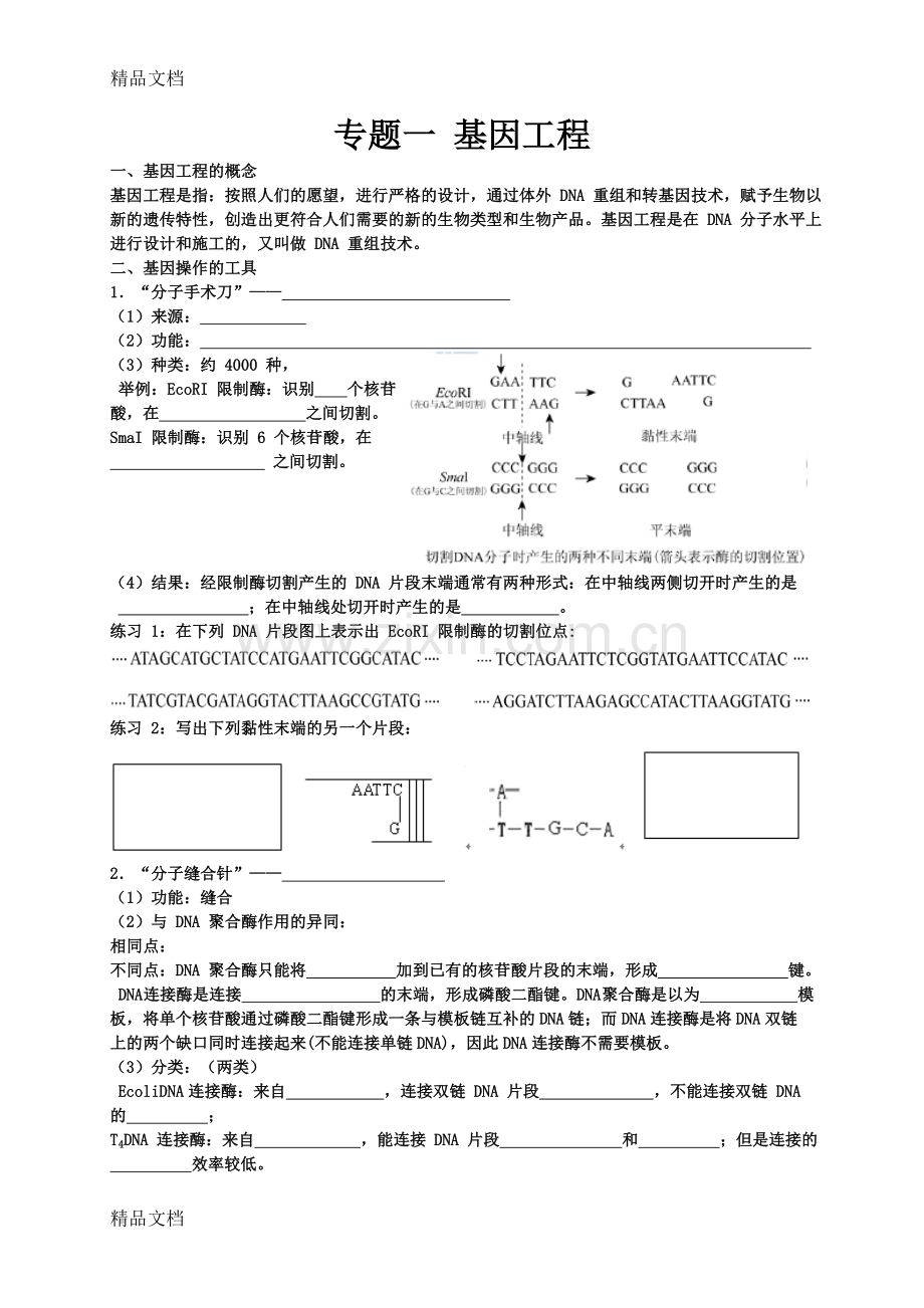 (整理)马培梅生物一轮复习讲义选修3.doc_第1页