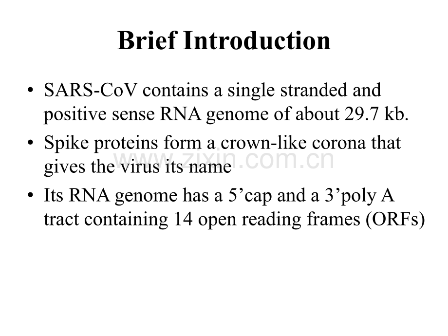 Severe-acute-respiratory-syndrome-(SARS)–associated-coronavirus-(SARS-CoV)(ppt文档).ppt_第3页
