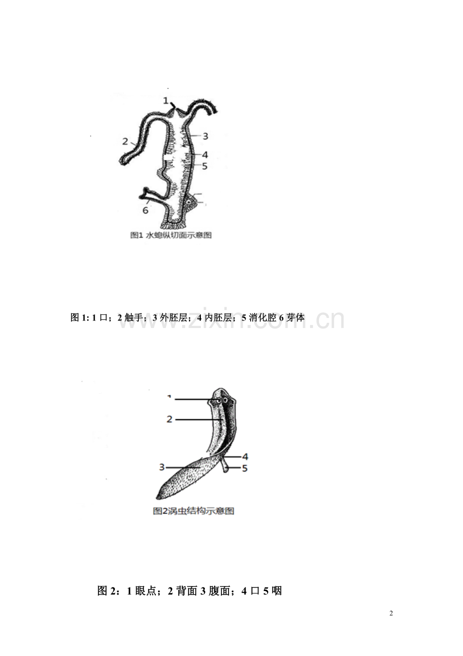 八年级上册生物图.doc_第2页