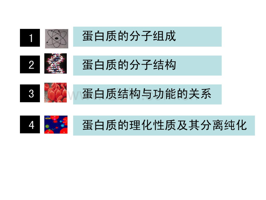 生物化学.pdf_第2页