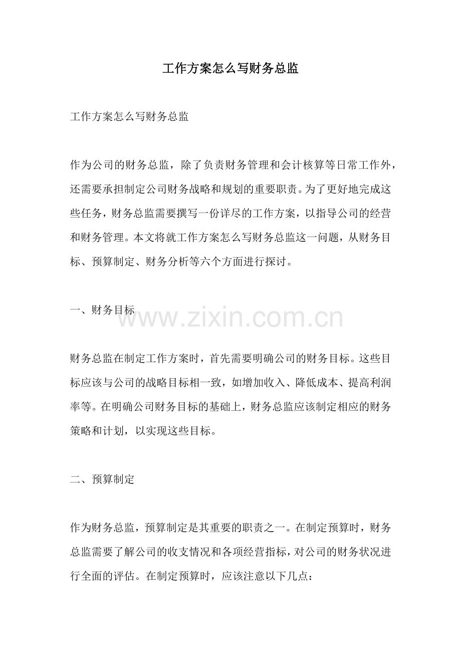 工作方案怎么写财务总监.docx_第1页