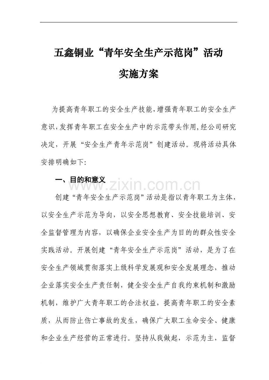 青年安全生产示范岗”活动实施方案.doc_第1页