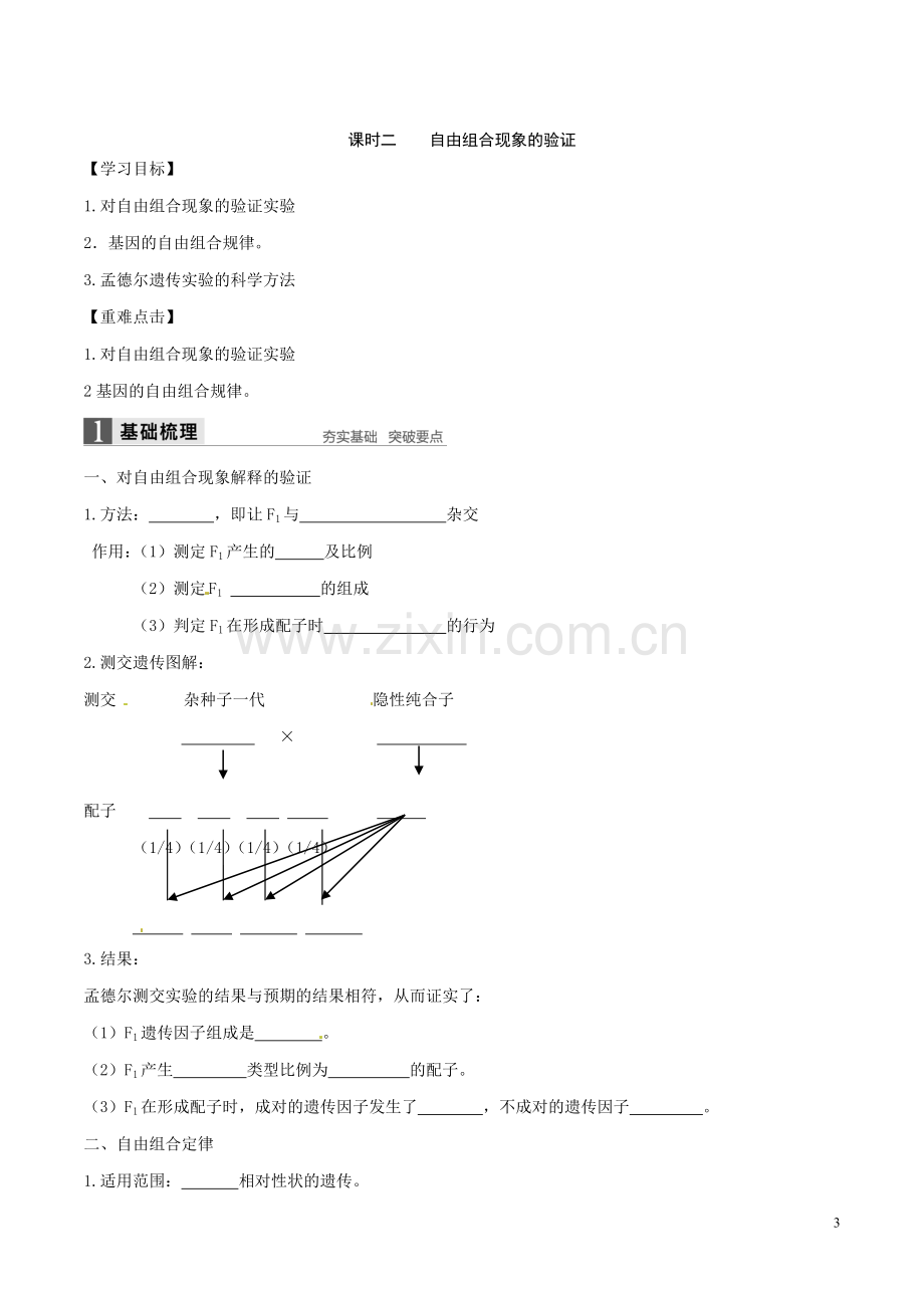 1.2孟德尔的豌豆杂交实验二导学案.doc_第3页