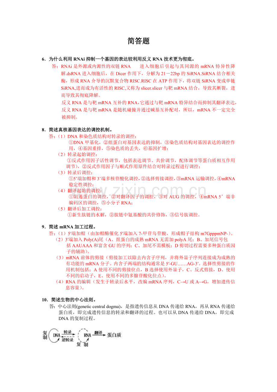 分子生物学简答题全.doc_第1页