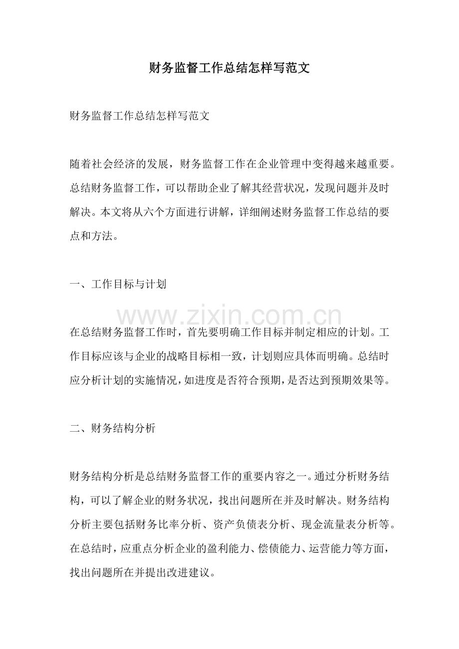 财务监督工作总结怎样写范文.docx_第1页