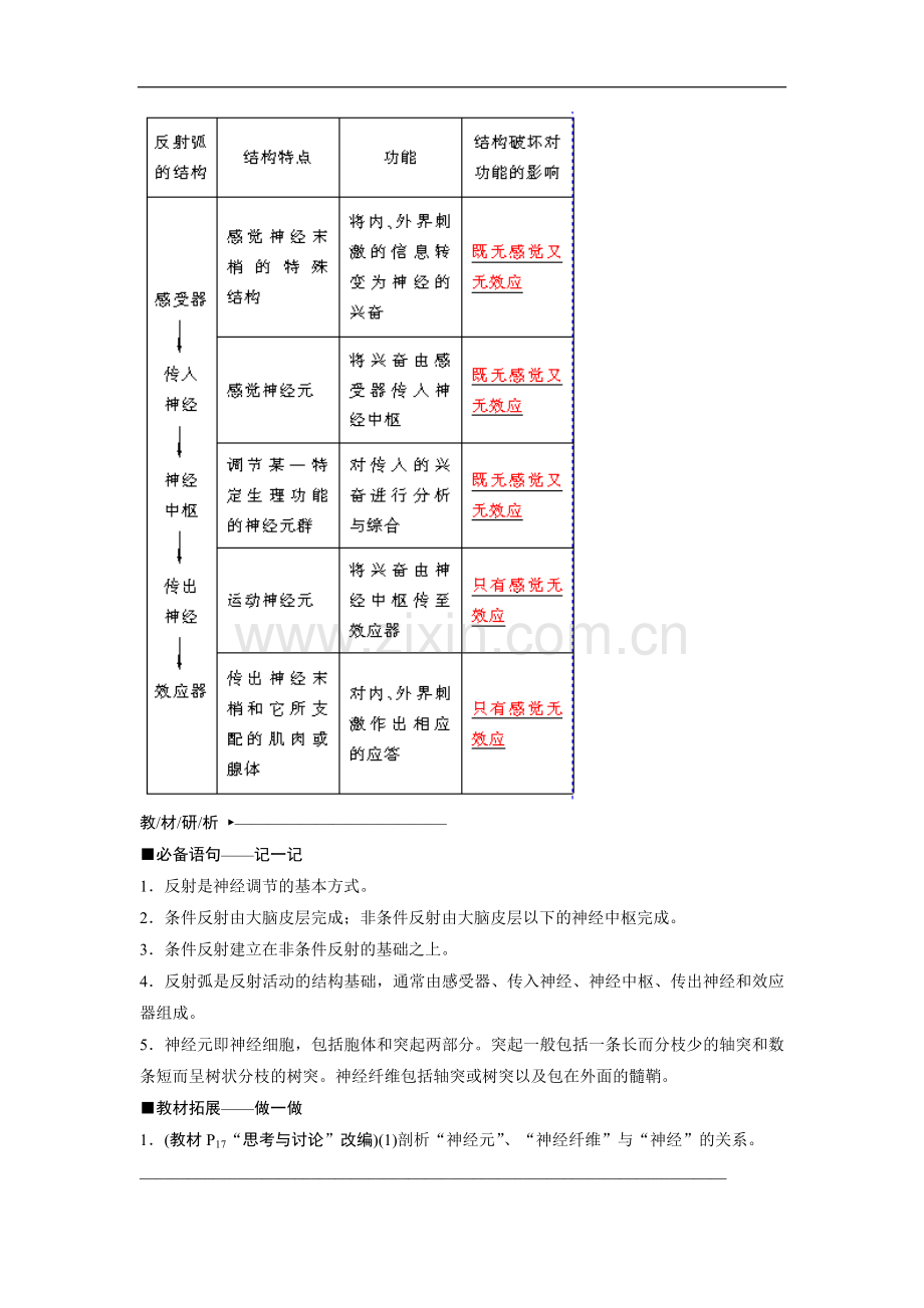 2020届一轮复习人教版通过神经系统的调节学案-2.doc_第3页