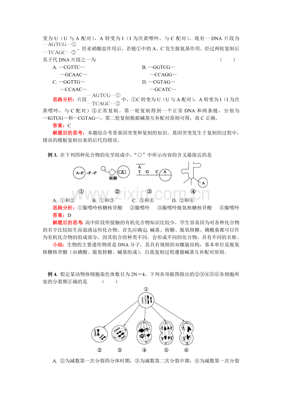 高一生物必修二复习内容及典型例题.doc_第3页