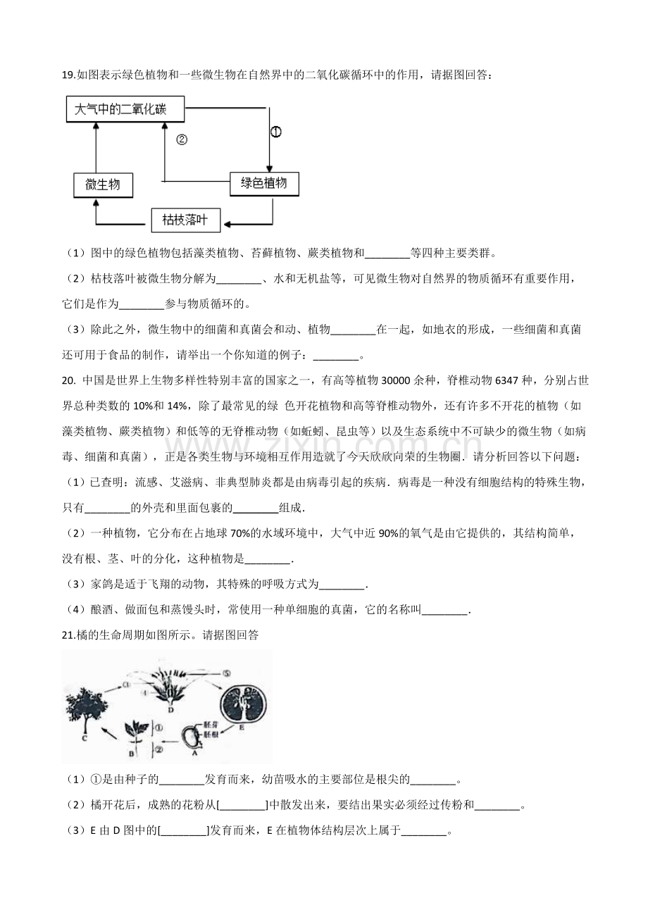 初中生物中考专题复习练习《绿色植物的种类》.doc_第3页