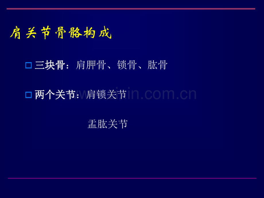 肩关节影像解剖(20190904084459).pdf_第3页