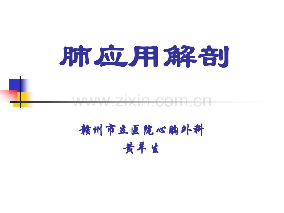 肺的应用解剖.pdf_第1页