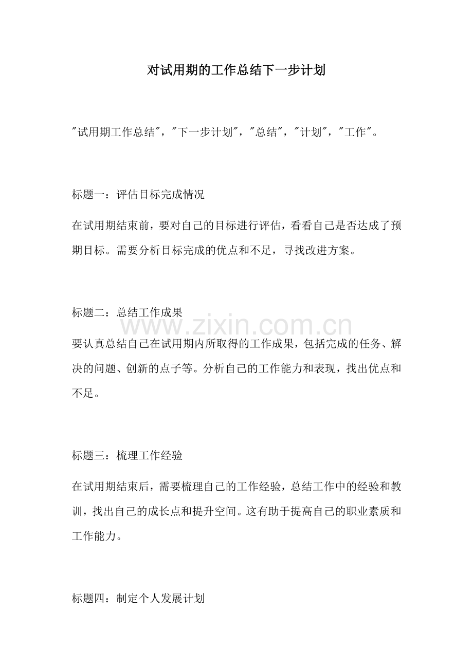 对试用期的工作总结下一步计划.docx_第1页