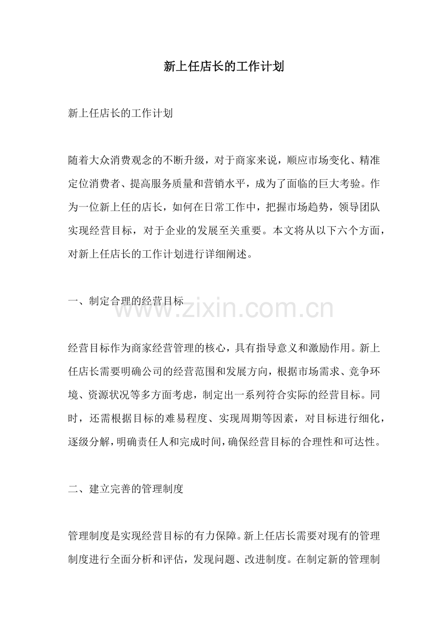 新上任店长的工作计划.docx_第1页