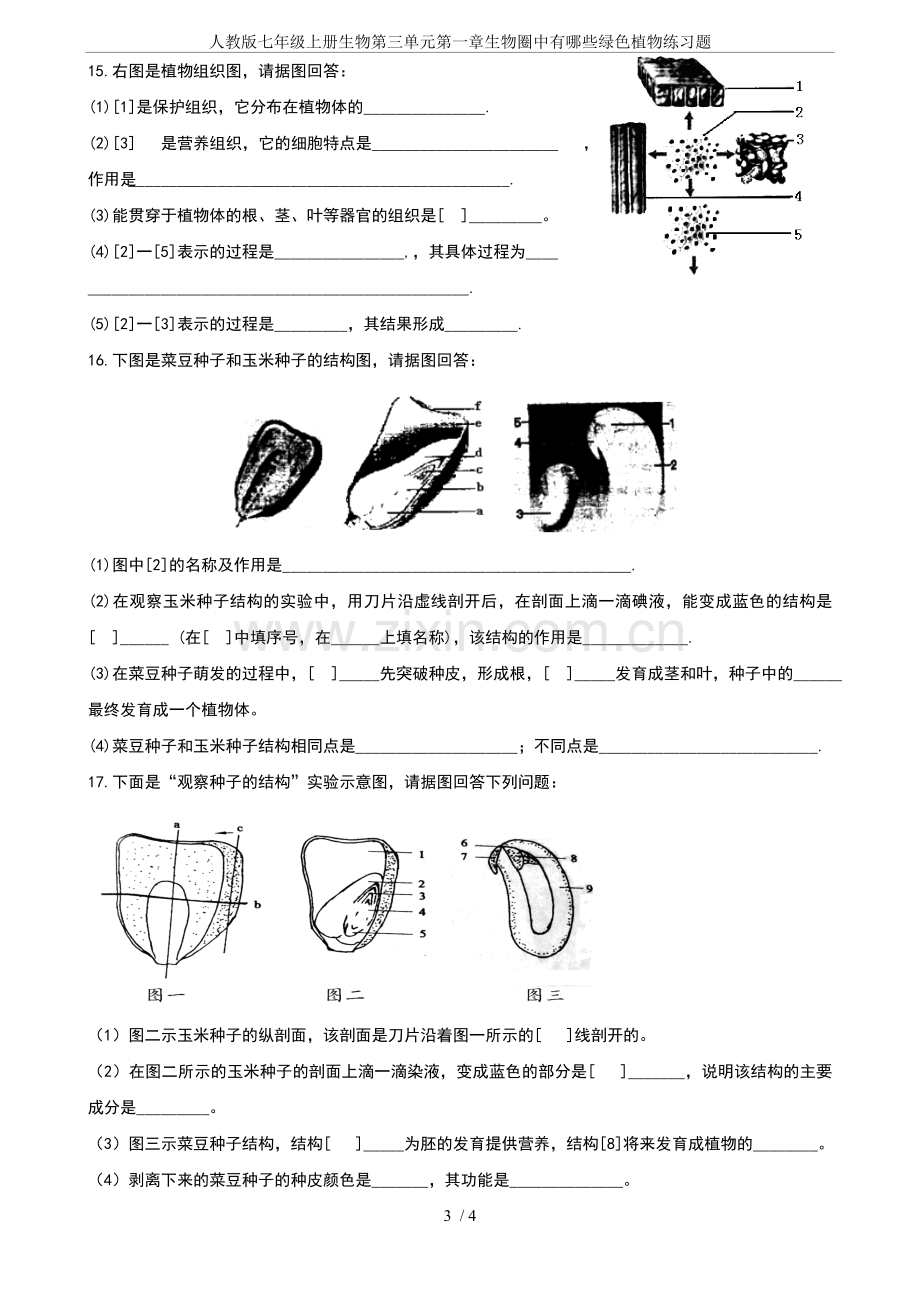 人教版七年级上册生物第三单元第一章生物圈中有哪些绿色植物练习题.doc_第3页