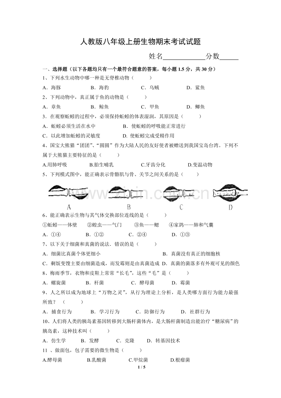 人教版八年级上册生物期末考试卷带答案.doc_第1页